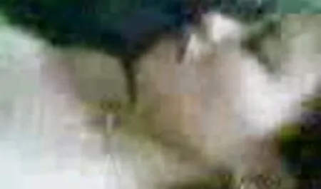 गोरा, स्वस्थ बिल्ली बीएफ सेक्सी मूवी फिल्म