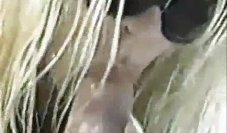 उत्साही कैमरे पर फिल्माया एक सेक्सी बीएफ एचडी मूवी युवा जोड़े के रूप में बर्फ देखना